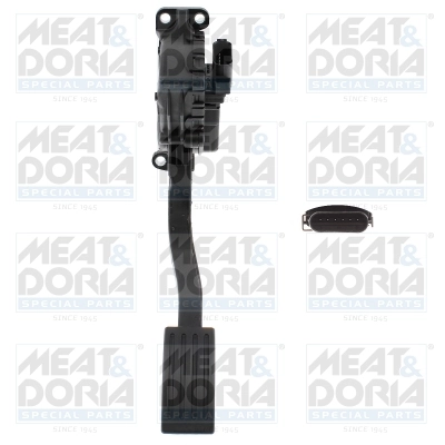Accelerator Pedal Unit